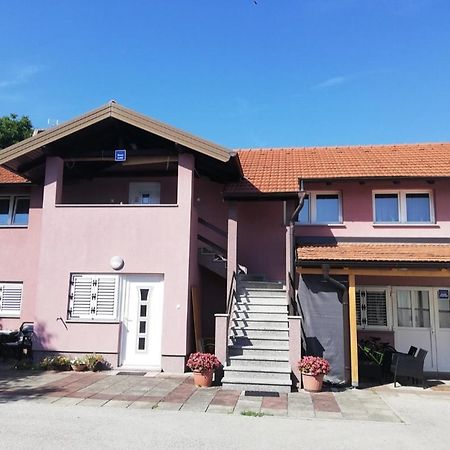 Guest House Lucija Buzin Extérieur photo